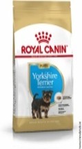 BHN YORKSHIRE PUPPY 1.5LKG S/JP 12C